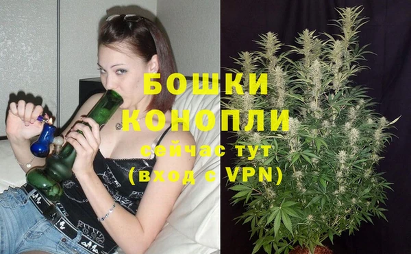 героин Покачи