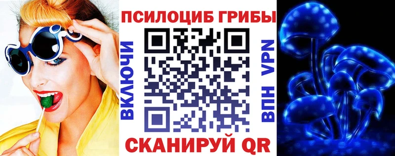 Псилоцибиновые грибы Psilocybe  цена   Тбилисская 